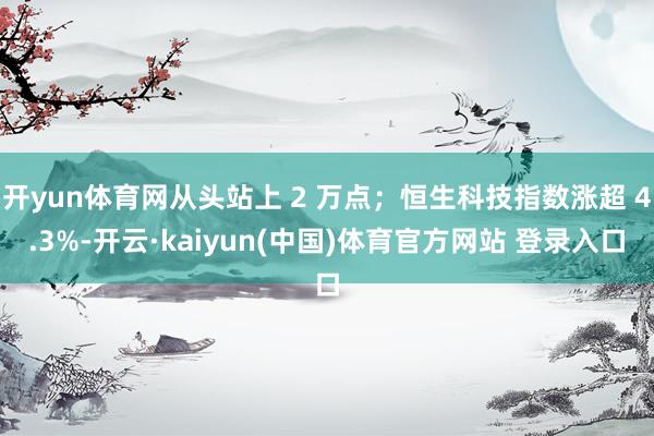 开yun体育网从头站上 2 万点；恒生科技指数涨超 4.3%-开云·kaiyun(中国)体育官方网站 登录入口