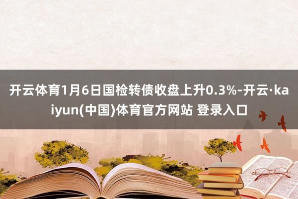 开云体育1月6日国检转债收盘上升0.3%-开云·kaiyun(中国)体育官方网站 登录入口