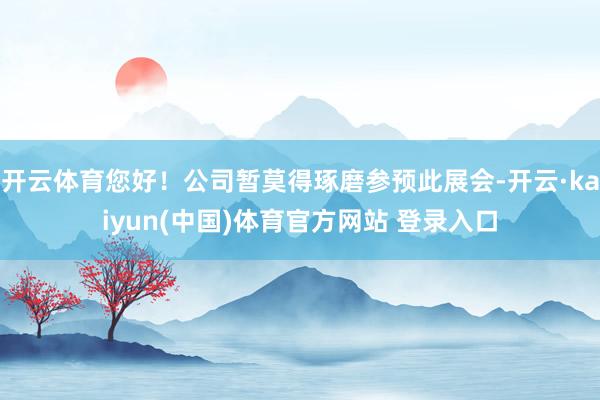 开云体育您好！公司暂莫得琢磨参预此展会-开云·kaiyun(中国)体育官方网站 登录入口