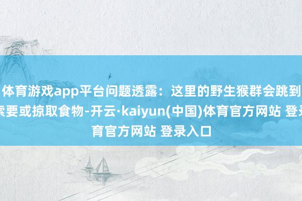体育游戏app平台问题透露：这里的野生猴群会跳到车上索要或掠取食物-开云·kaiyun(中国)体育官方网站 登录入口