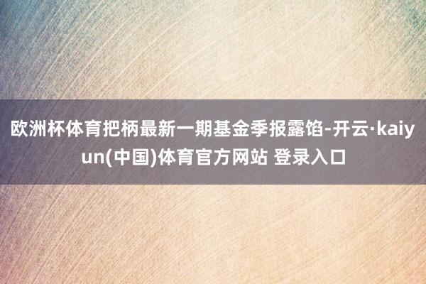 欧洲杯体育把柄最新一期基金季报露馅-开云·kaiyun(中国)体育官方网站 登录入口