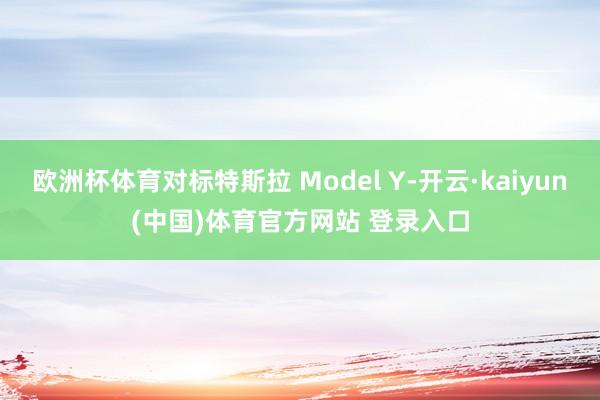 欧洲杯体育对标特斯拉 Model Y-开云·kaiyun(中国)体育官方网站 登录入口
