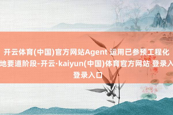 开云体育(中国)官方网站Agent 运用已参预工程化落地要道阶段-开云·kaiyun(中国)体育官方网站 登录入口